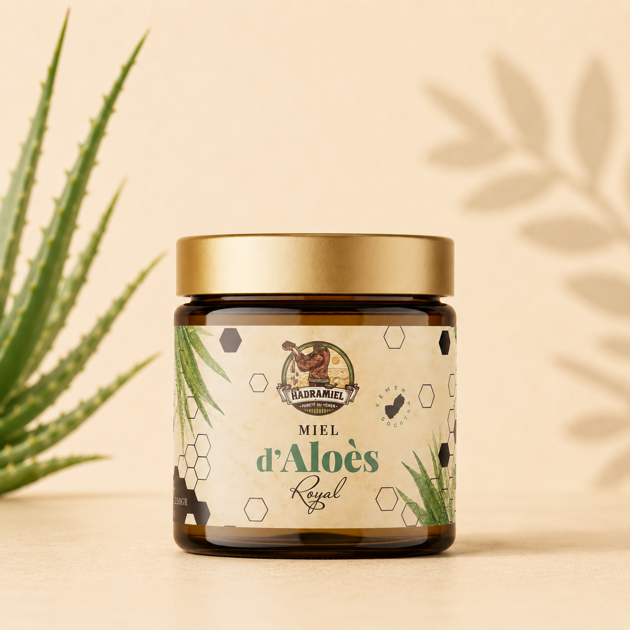 Miel de Socotra ( Aloé ) du Yémen – 250g